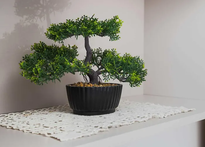 Sunny & Modern 1br Διαμέρισμα