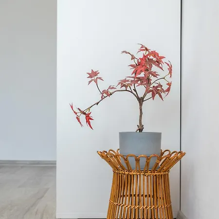 Apartamento Sunny & Modern 1br