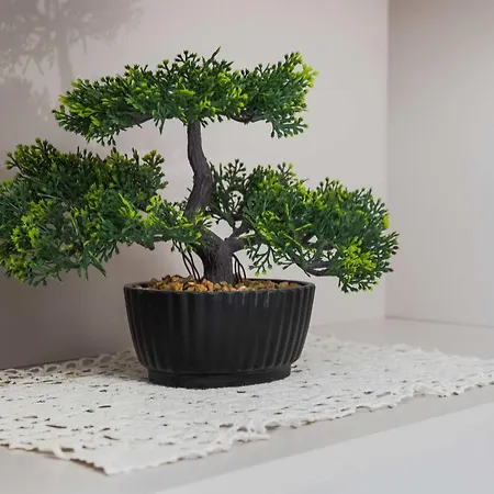 Sunny & Modern 1br Apartamento