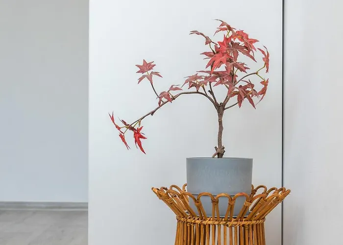 Appartement Sunny & Modern 1br